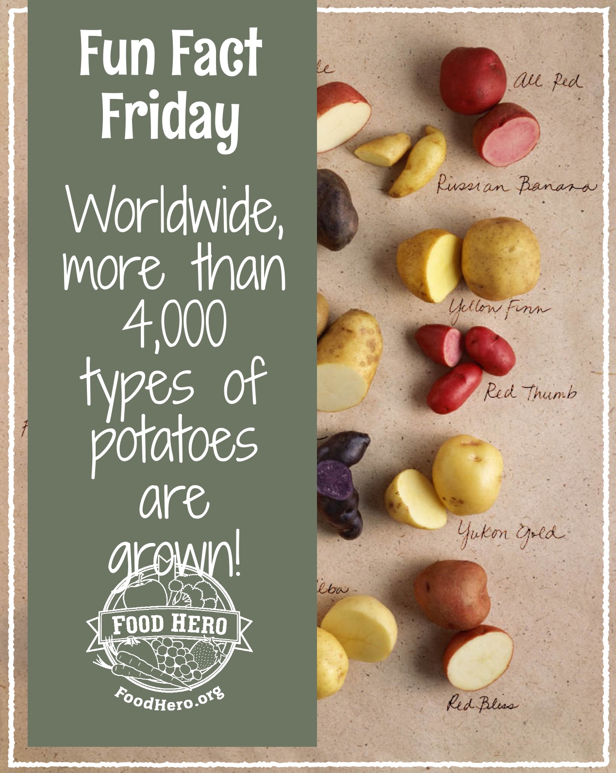 Potatoes | Food Hero | Educational Resources
